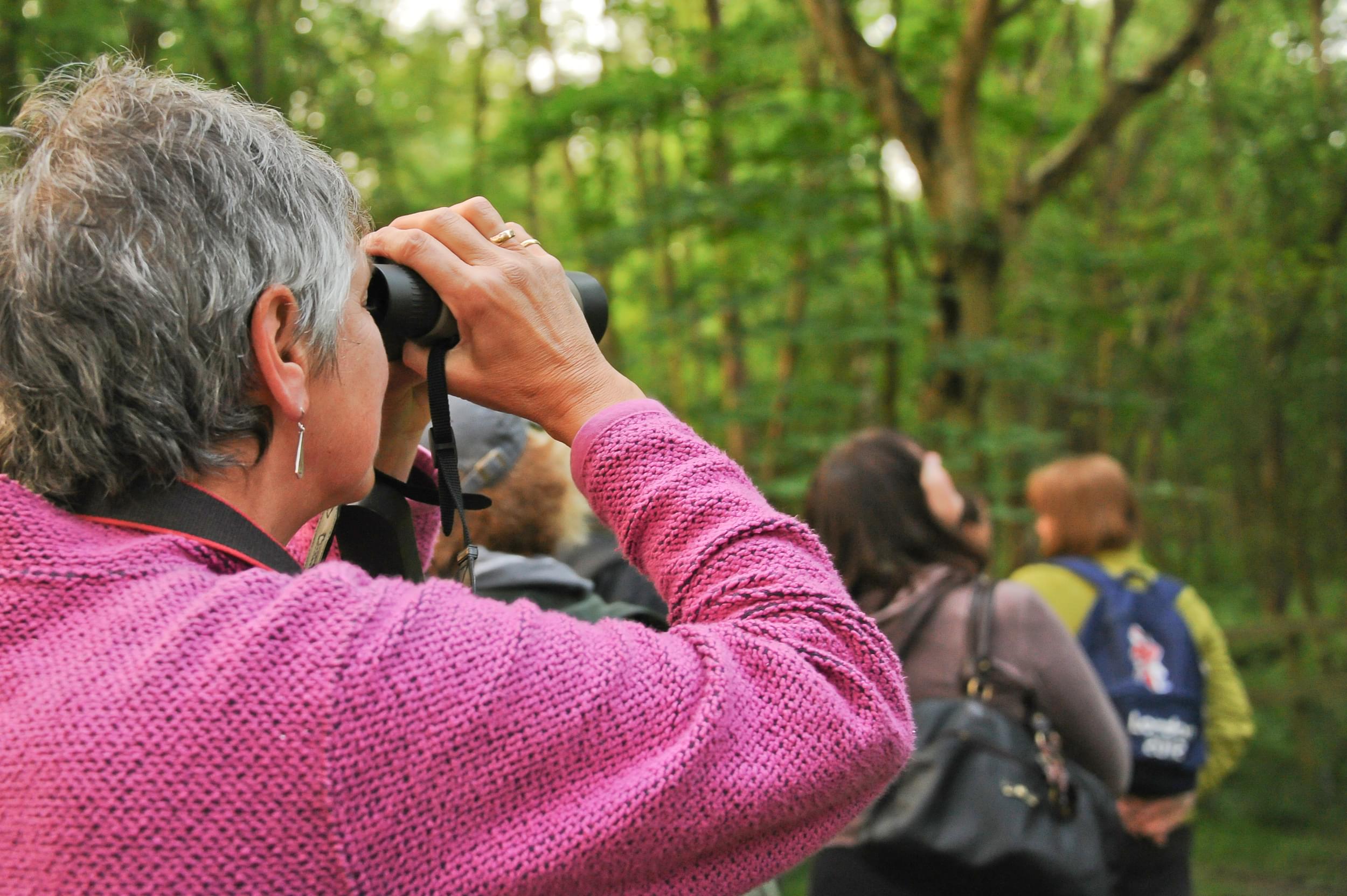 A person is looking through binoculars into the forest around them.