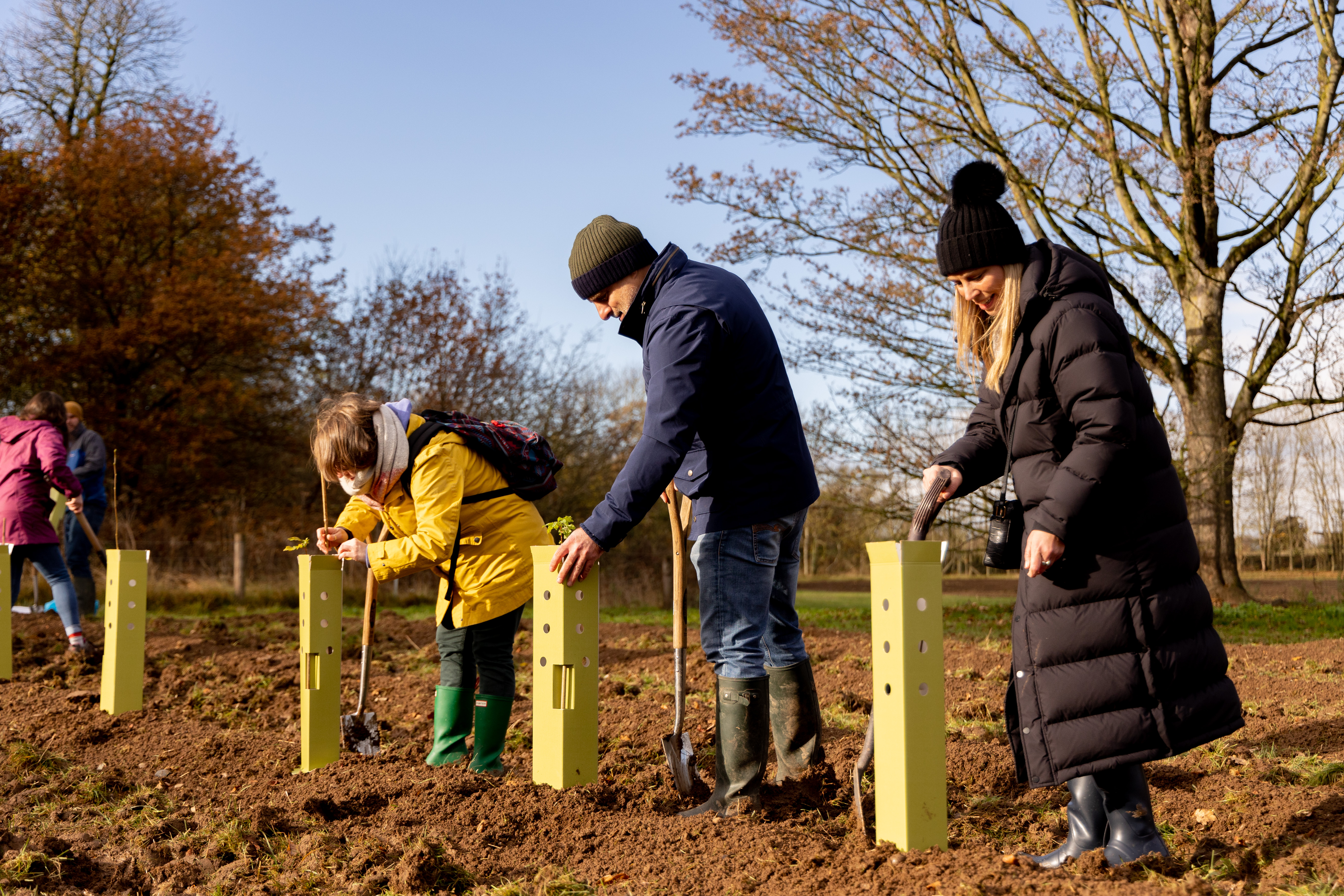 People in warm coats, wellies, and woolly hats put cardboard tree guards around newly planted saplings.