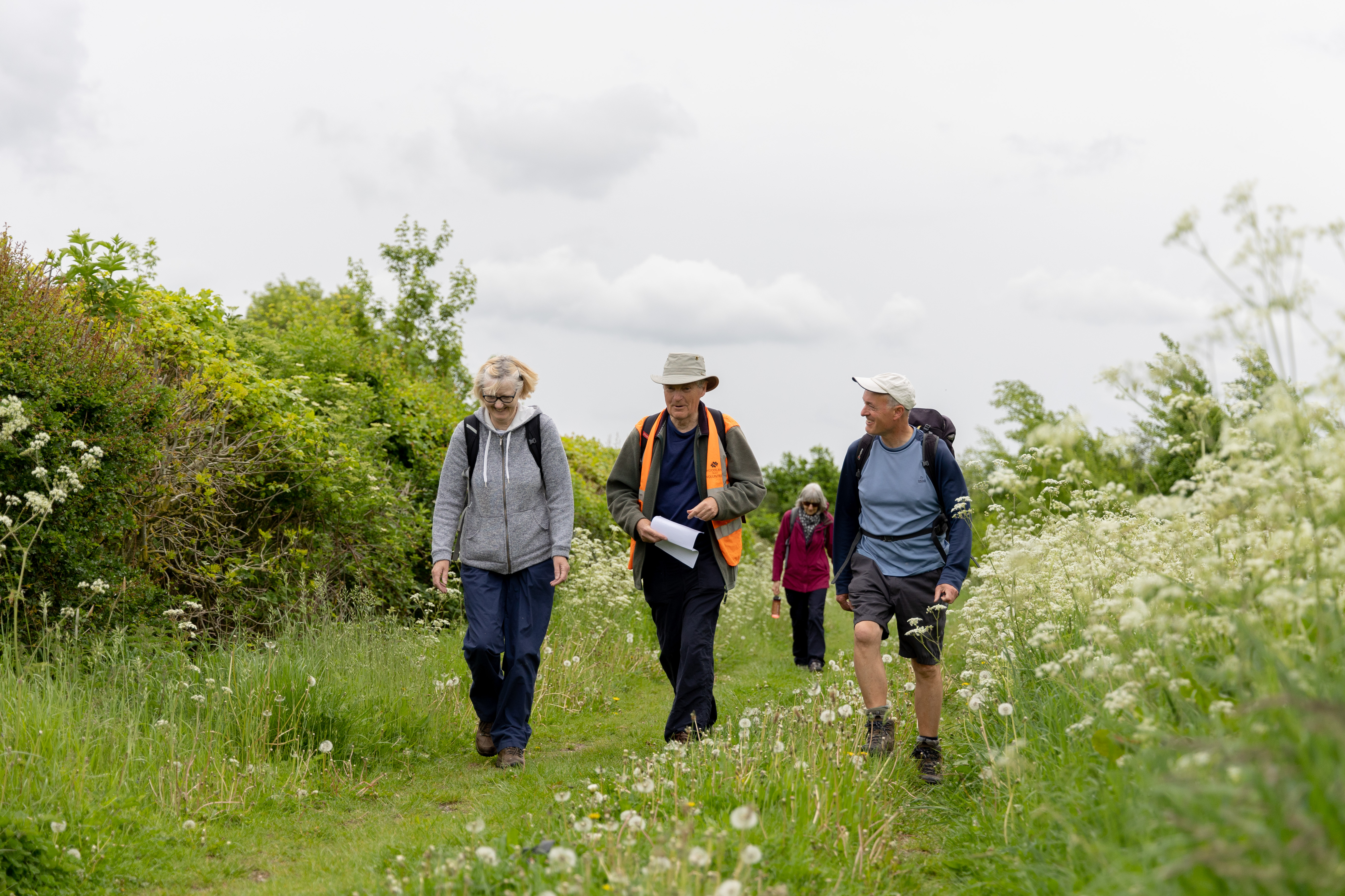 People walking down a grassy path with hedges either side. One is carrying a map and wearing a hi-vis jacket.