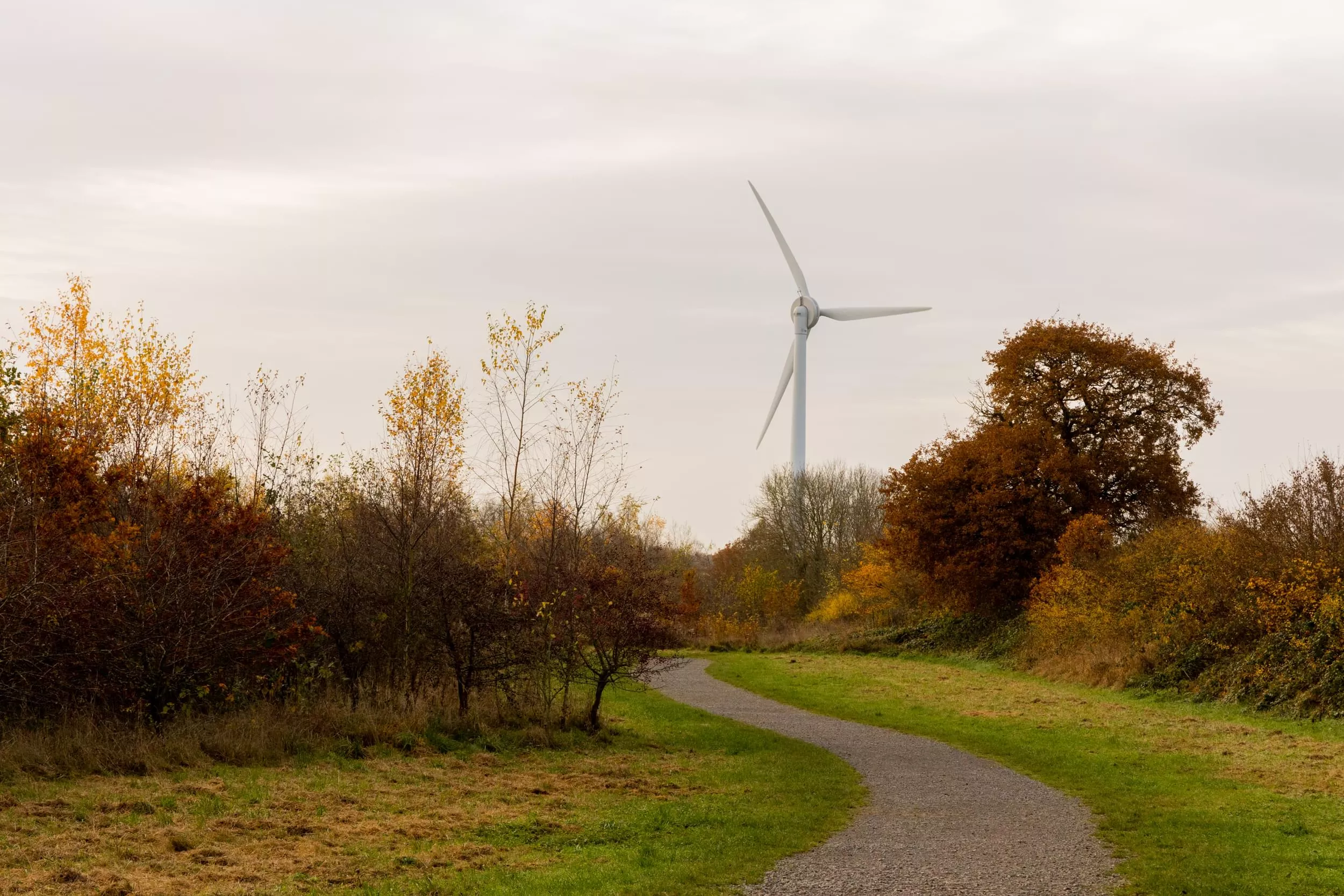 /sites/default/files/2023-09/Turbine%20Jubilee%20Wood%20-%20Large.jpg