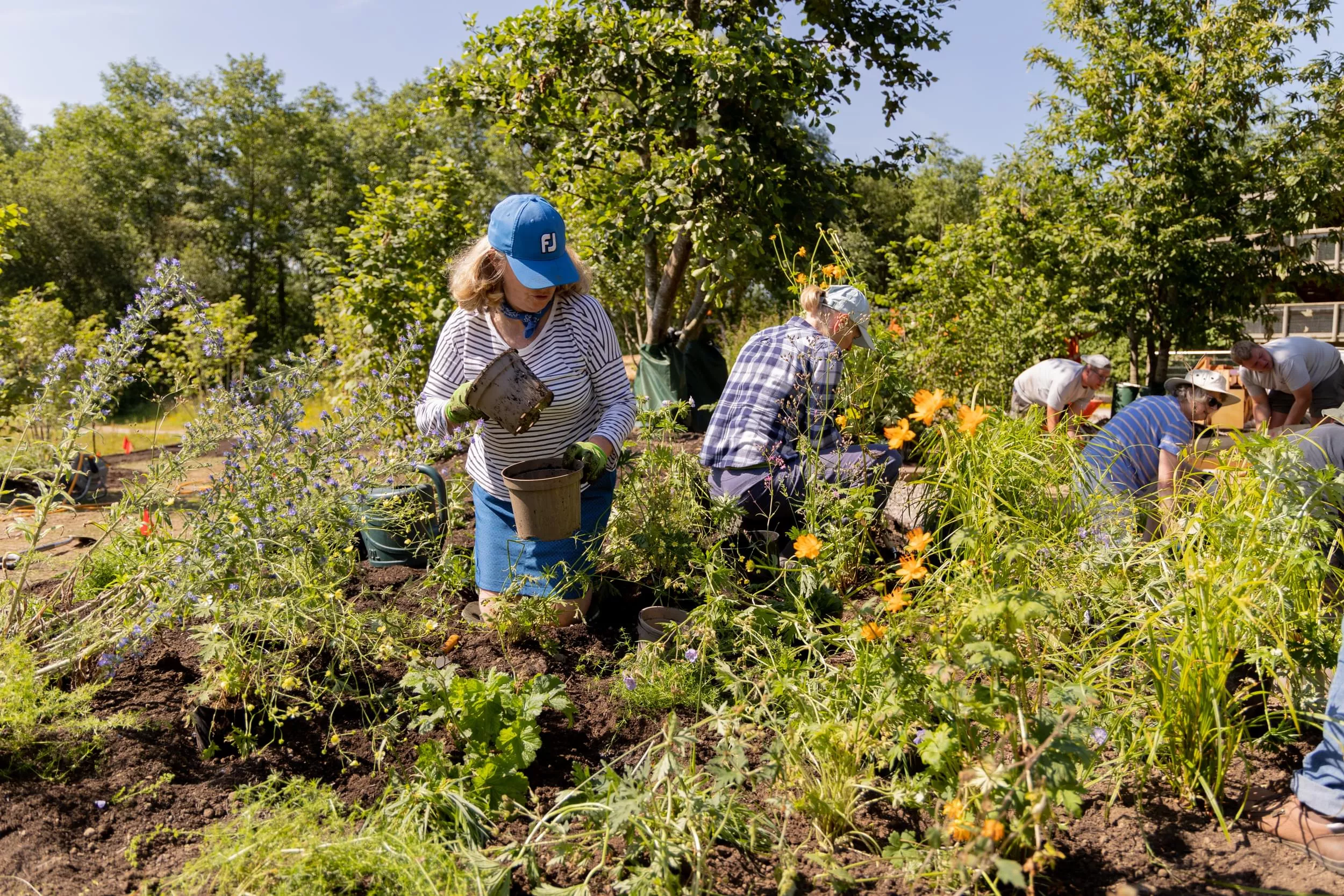 National Forest Volunteers