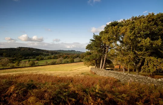 /sites/default/files/2023-08/Bradgate%20Park%20-%20Large.jpg