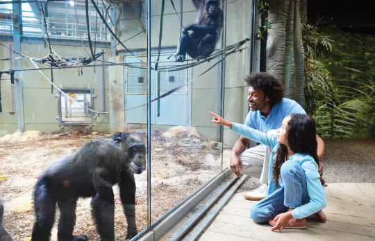 /sites/default/files/2023-08/TZ_DOWTK_animal_interaction_2.png