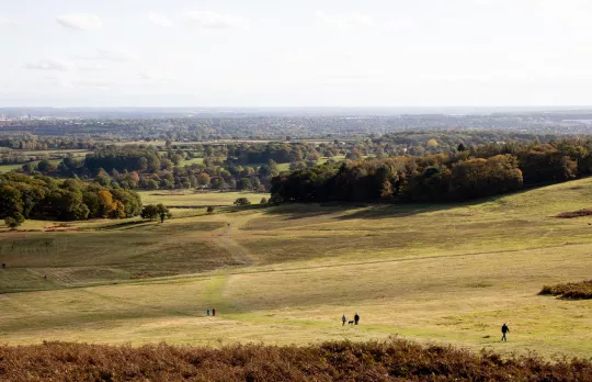 /sites/default/files/2023-10/Bradgate%20Park%20-%20Large%20%281%29.jpg