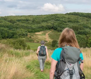 https://nfcprod.nationalforest.org/sites/default/files/styles/custom_270x216/public/2023-07/Battlestead%20Hill%20Walking%20National%20Forest%20Way%20Nat%20Forest%20Walking%20Festival%20Credit%20Diana%20Jarvis.jpg.webp?itok=WaC-j01S